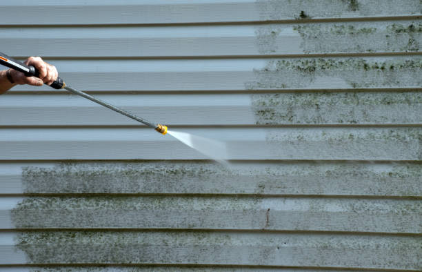 Best Residential Mold Removal  in Lewiston, MN