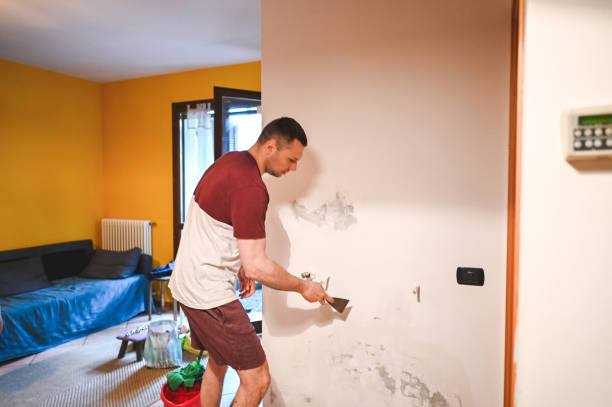Best Professional Mold Removal  in Lewiston, MN