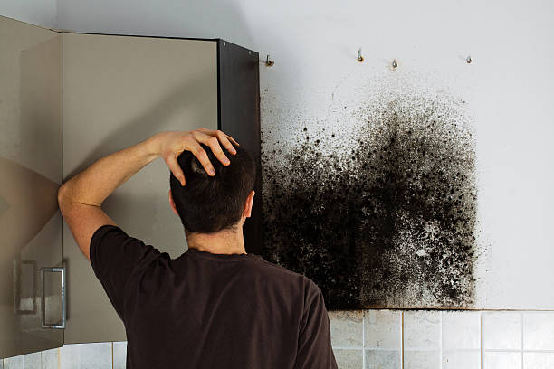Water Damage Restoration in Lewiston, MN